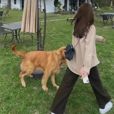 倾斜